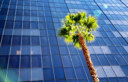 It’s Time to Move Forward with SDN/NFV It’s Time to Move Forward with SDN/NFV