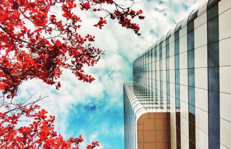 The Pitfalls of OSS Transformation