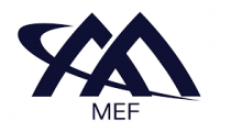 MEF Excellence Award: Most Impactful Service Automation Vendor